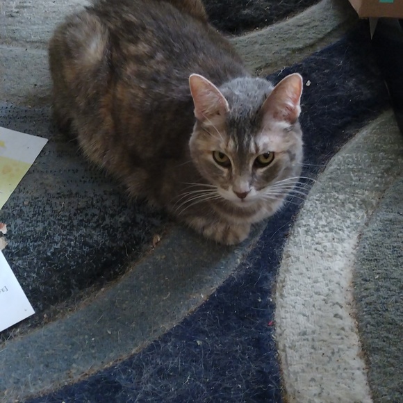 Meet your Posher, Kathy - Picture 2 of 2